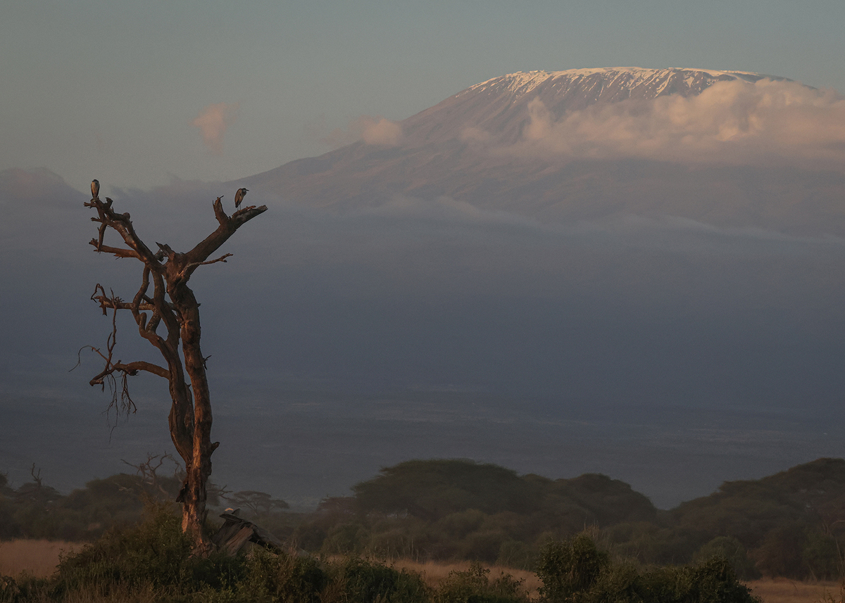 Sunrise On Kilinanjaro - Ian Parker